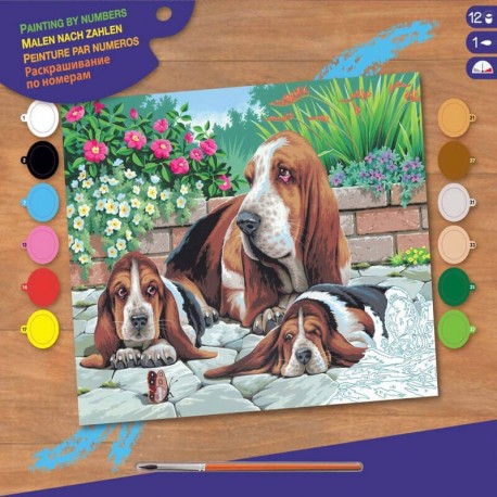 Pictura pe numere Caini Basset