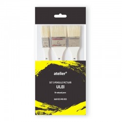Set 3 pensule pictura bidinea porc Atelier