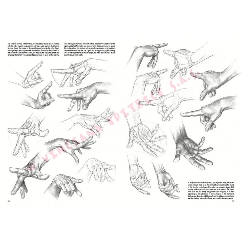 pupil Saving badminton Manual Leonardo Bazele desenului vol. 3 - Lucas Impex