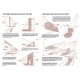 Manual Perspectiva si anatomia umbrelor