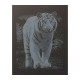 PAINT BY NUMBERS JUNIOR KIT GRAVURA SILVER "TIGER"