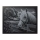 PAINT BY NUMBERS JUNIOR KIT GRAVURA SILVER "PONY"